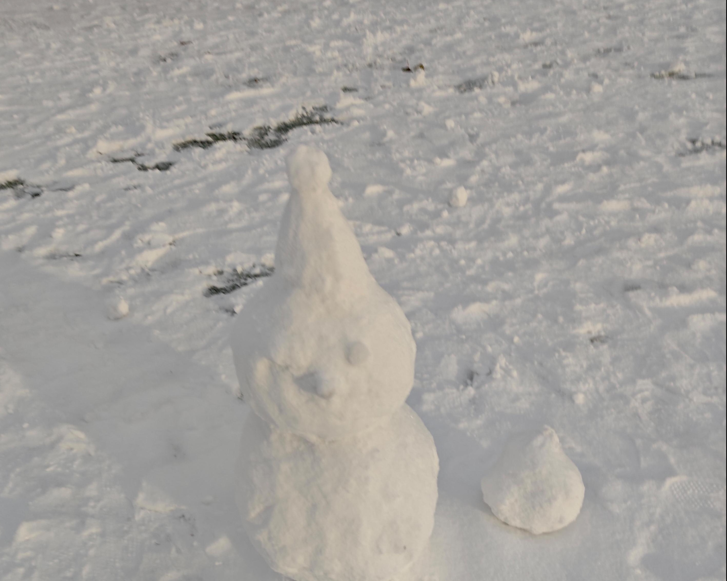 2025年河大的第一场雪