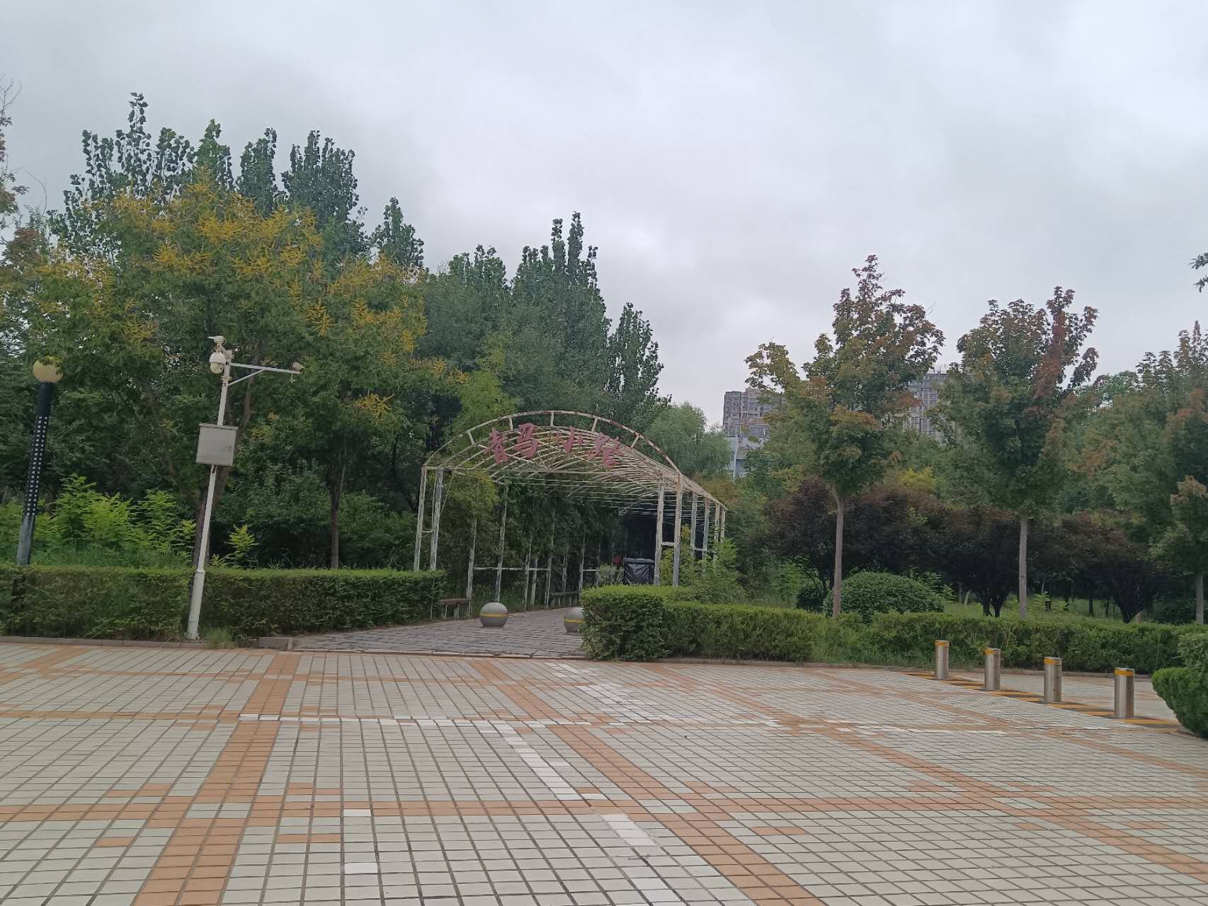 新生报到汽车也可以进校了